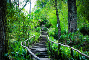 Parque Nacional El Boqueron